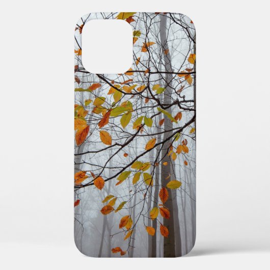 Coques Case-Mate iPhone Feuilles d'automne feuilles de forêt tombées (Verso)