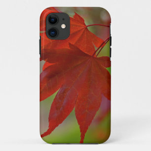 Coque Case-Mate Pour iPhone Feuilles de l'arbre rouge