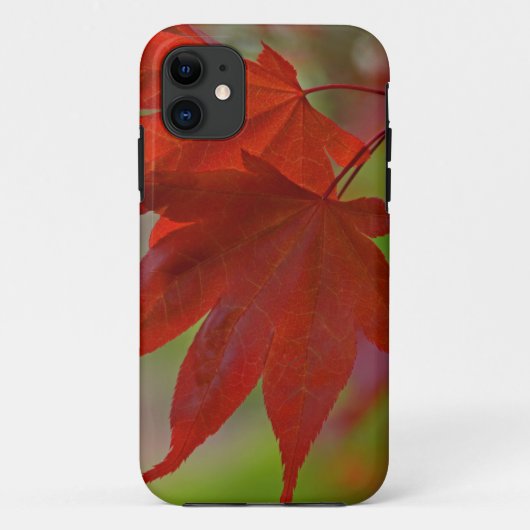 Coques Case-Mate iPhone Feuilles de l'arbre rouge (Dos)