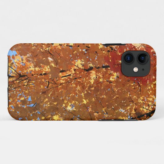 Coques Case-Mate iPhone Feuilles de l'érable d'automne (Dos (Horizontal))