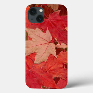 iPhone 13 Coque Feuilles Red Maple