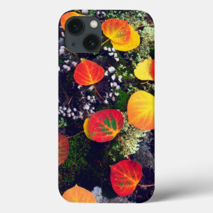 Etui iPhone Case-Mate Feuilles sur un rocher couvert de lichen, Rocheuse
