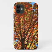 Coques Case-Mate iPhone Feux d'artifice d'automne (Dos)