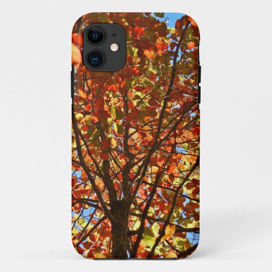 Coques Case-Mate iPhone Feux d'artifice d'automne (Dos)