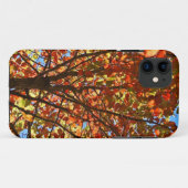 Coques Case-Mate iPhone Feux d'artifice d'automne (Dos (Horizontal))