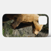 Coques Case-Mate iPhone Fière Ours (Verso (horizontal))