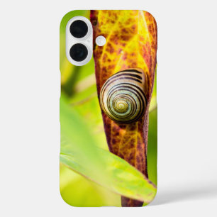 Coques iPhone 16 fixation calme