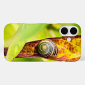 Coques Case-Mate iPhone fixation calme (Verso (horizontal))