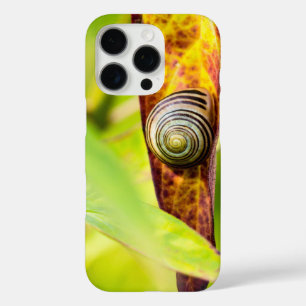 Coques iPhone 16 Pro fixation calme