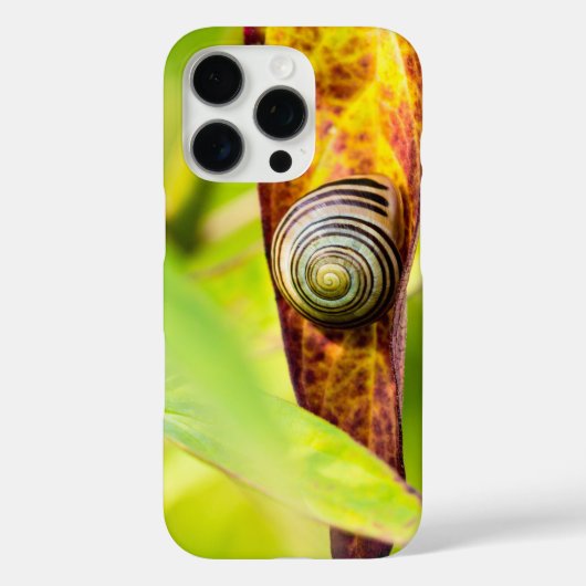 Coques Case-Mate iPhone fixation calme (Verso)