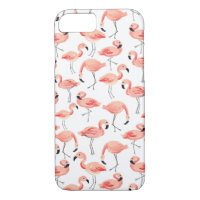Flamant rose
