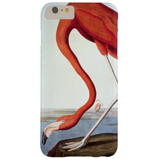 Coques Case-Mate iPhone Flamant rose américain (Dos)