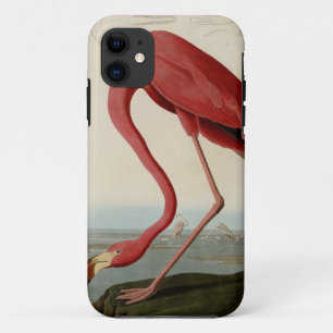 Coque iPhone 11 Flamant rose américain
