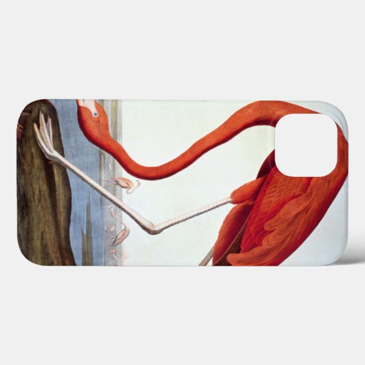 Coques Case-Mate iPhone Flamant rose américain (Verso (horizontal))