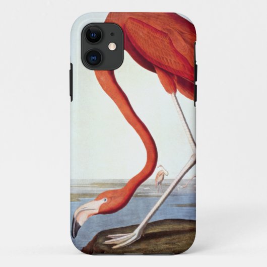 Coques Case-Mate iPhone Flamant rose américain (Dos)