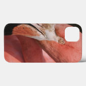 Coques Case-Mate iPhone Flamant rose chilien, chilensis de Phoenicopterus (Verso (horizontal))