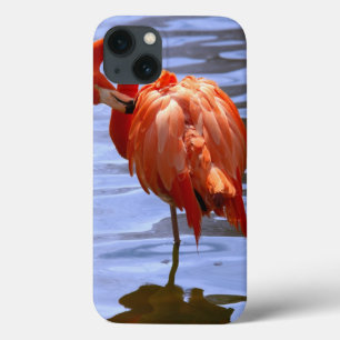 Etui iPhone 13 Flamingo on one leg in water