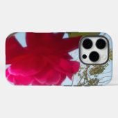 Coques Case-Mate iPhone Fleur céleste : Un Rose contre le ciel (Verso (horizontal))