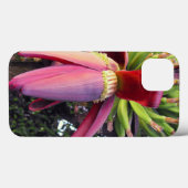 Coques Case-Mate iPhone Fleur de bananier en gros plan (Verso (horizontal))