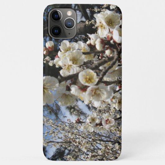 Coques Case-Mate iPhone Fleur de cerisier blanc / Sakura / ク(桜) (Dos)