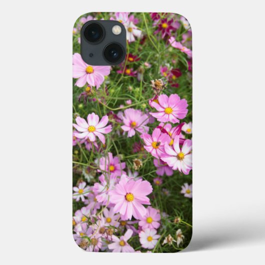Coques Case-Mate iPhone Fleur de Cosmos (Bidens Formosa). Kirkwood (Verso)