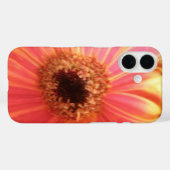 Coques Case-Mate iPhone Fleur de gerbera (Verso (horizontal))