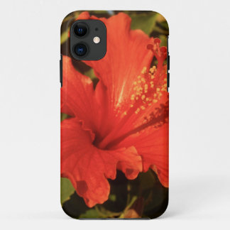 Coques Pour iPhone Fleur de ketmie