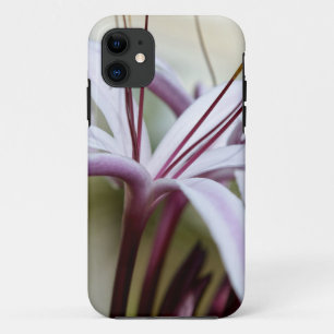 Coque Case-Mate Pour iPhone Fleur de lys rose pâle, art photo botanique