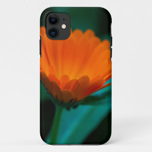 Case-Mate iPhone Case Fleur de marguerite orange