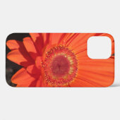 Coques Case-Mate iPhone Fleur de marguerite orange vif (Verso (horizontal))