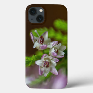 Case-Mate iPhone Case Fleur de printemps de Heather à feuillage persista