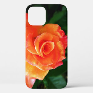 Case-Mate iPhone Case Fleur de rose orange