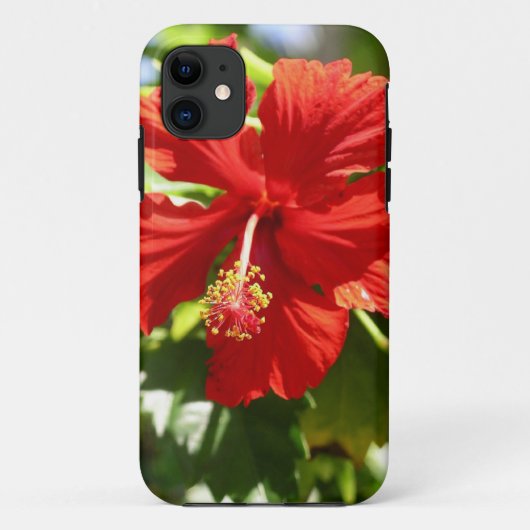 Coques Case-Mate iPhone Fleur d'Hibiscus de l'Hawaii rouge brillante (Dos)