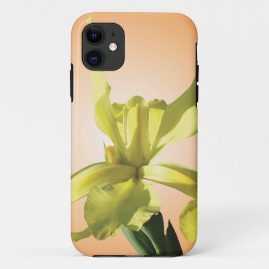 Coques Case-Mate iPhone fleur d'iris jaune sur fond jaune. (Dos)