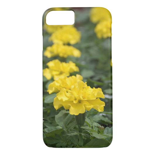 Coques Case-Mate iPhone fleur jaune marigé (Dos)