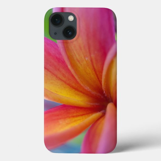 Coques Case-Mate iPhone Fleur Plumeria Tropicale Rose (Verso)