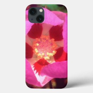 Etui iPhone Case-Mate Fleur sauvage Desert Five Spot