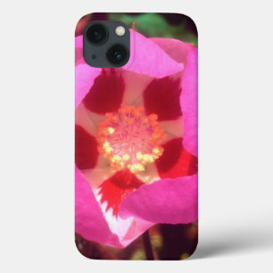 Coques Pour iPhone Fleur sauvage Desert Five Spot