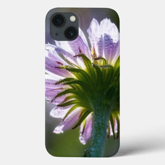 Coques Case-Mate iPhone Fleur sauvage violet rétroéclairé avec des gouttes (Verso)