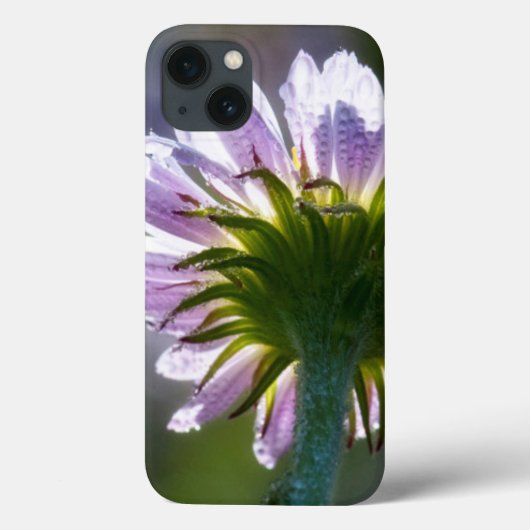 Coques Case-Mate iPhone Fleur sauvage violet rétroéclairé avec des gouttes (Verso)