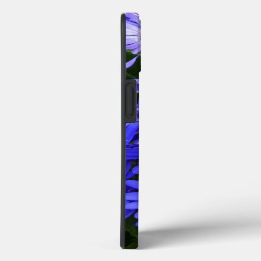 Coques Case-Mate iPhone Fleurs bleues à la marguerite Nature Photographie (Verso / Droite)