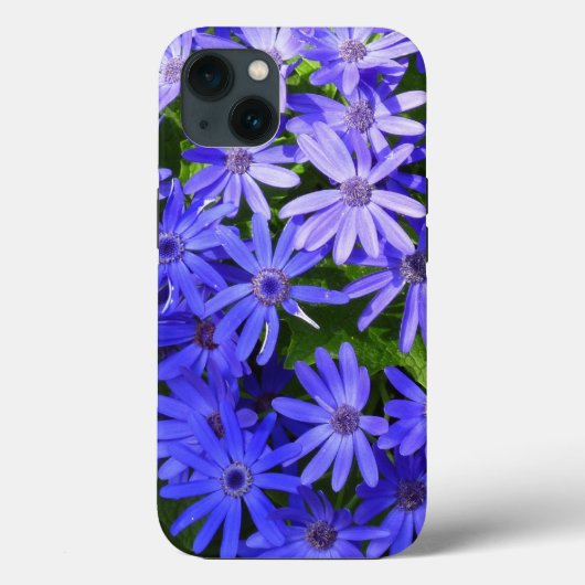 Coques Case-Mate iPhone Fleurs bleues à la marguerite Nature Photographie (Verso)