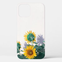 Fleurs bleues et jaunes sur le mur blanc