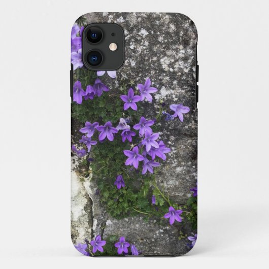 Coques Case-Mate iPhone Fleurs Campanula grandissant sur un mur (Dos)