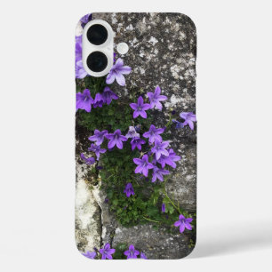 Coques iPhone 16 Plus Fleurs Campanula grandissant sur un mur