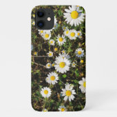Coques Case-Mate iPhone Fleurs Chamomiles (Dos)
