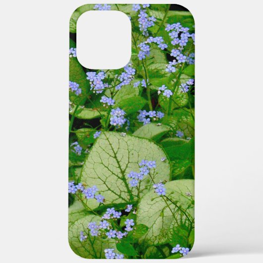 COQUES Case-Mate iPhone FLEURS/CLUSTERS DE PÉRIODE DE JOINTE FLEURS BLEU (Verso)