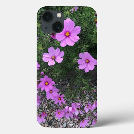 Coques Case-Mate iPhone Fleurs cosmos avec cailloux Sur un (Verso)