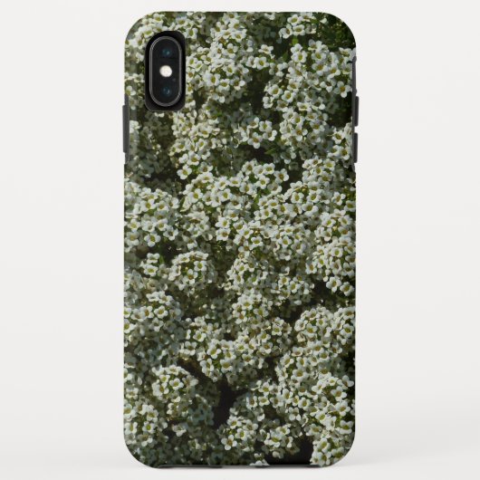 Coques Case-Mate iPhone Fleurs d'Alyssum doux Floral blanc (Dos)