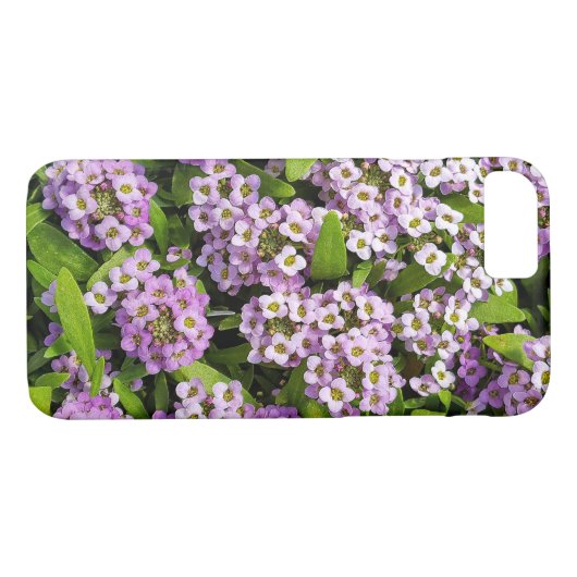 Coques Case-Mate iPhone fleurs d'alyssum mauve (Dos (Horizontal))